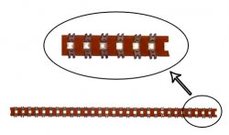 Lot lajsna, 30 polova