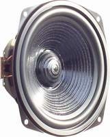 Dubokotonski zvučnik ARN 165-05/8, 8 OHMA, 100-300W,0-4000 Hz, 165 mm, kružno lakiran